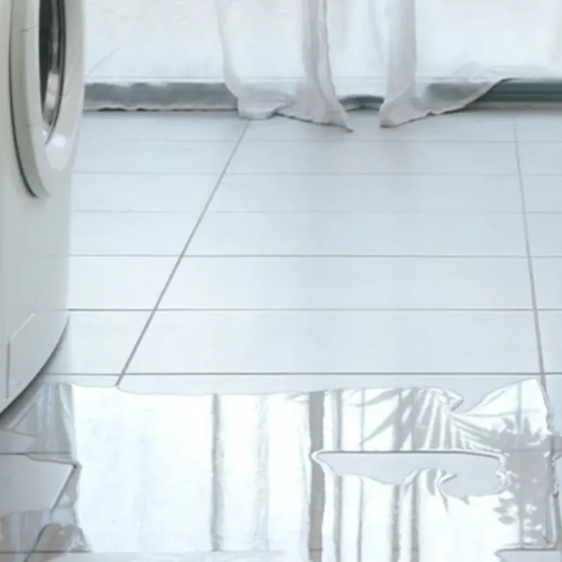 Appliance Leak Cleanup in Middle Valley, TN