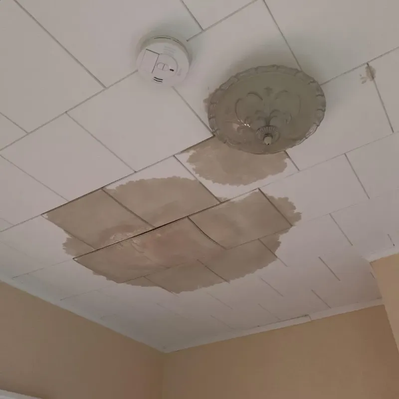 Ceiling Water Damage Repair in Middle Valley, TN