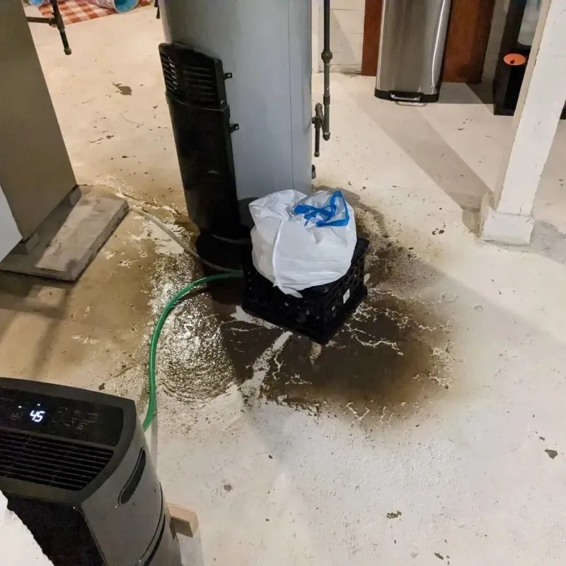 Sewage Backup Cleanup Service in Middle Valley, TN